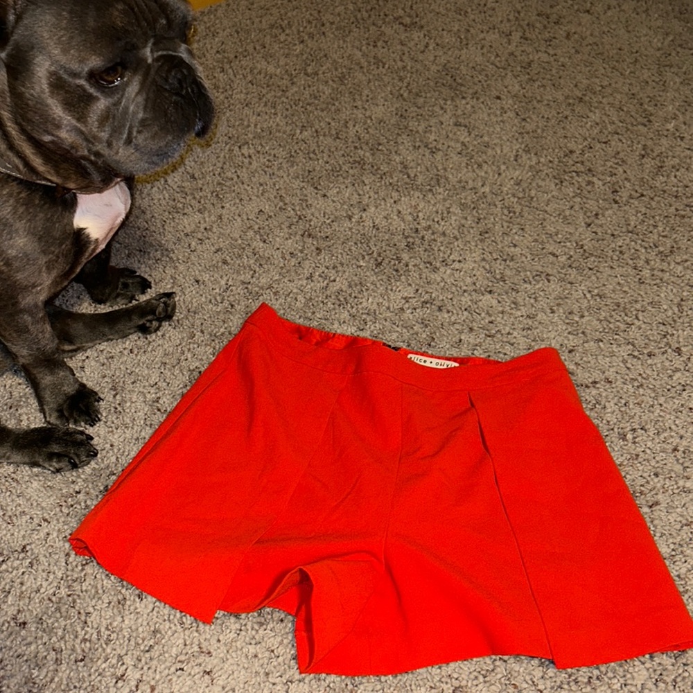 Red Alice and Olivia shorts!